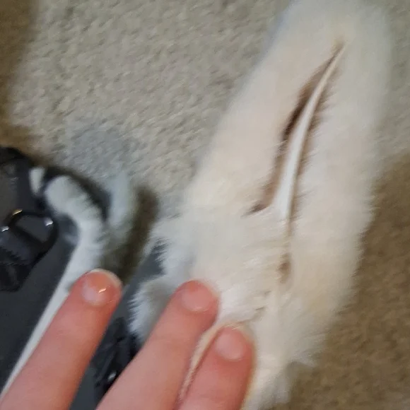 Dream Pairs Gray Ankle Boots with Faux Fur - Picture 3 of 15